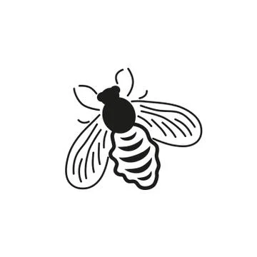 Fly Stock Illustration