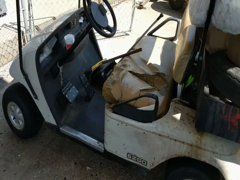 Fly Infestation Stock Footage 80166818