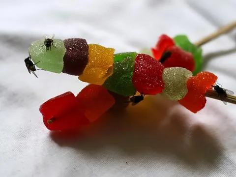 Fly infested candy poses a serious health risk, unhygienic food for bacteria Stock Photos