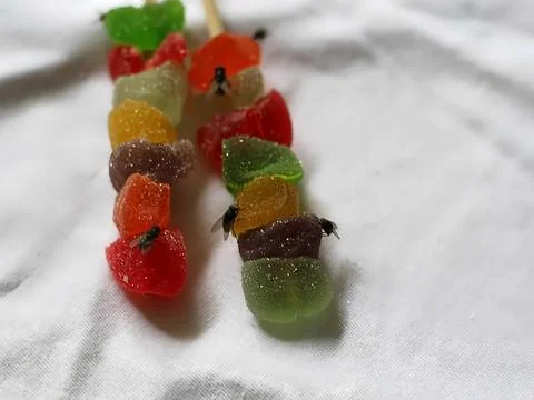 Fly infested candy poses a serious health risk, unhygienic food for bacteria Stock Photos
