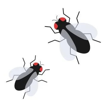 Fly insect flat vector icon Stock Illustration