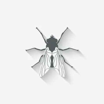 Fly insect icon Stock Illustration