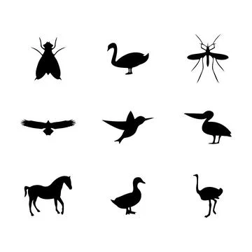 Fly Insect Silhouette – Simple Winged Bug Design Stock Illustration