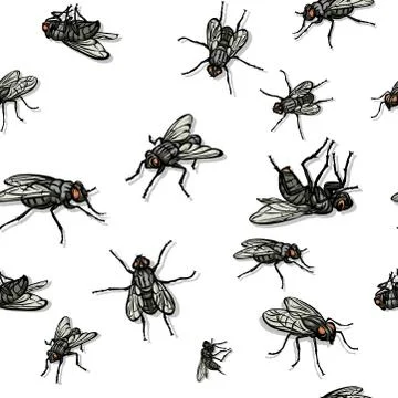 Fly, insect, various poses, black, color, pattern Stock Illustration