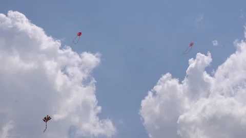 Fly a kite Video stock 136776054