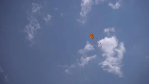 Fly a kite Video stock 136776143