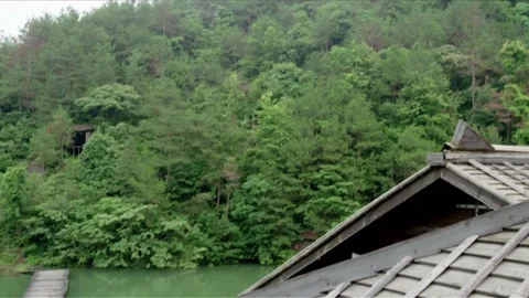 Fly a kite Stock Footage 235267780