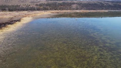 Fly by the lakeshore Vídeos de archivo 246904688