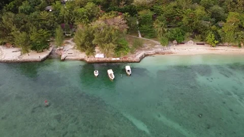 Fly To Land Vídeos de archivo 205210390