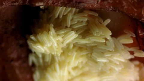 Fly larvae eating meat time lapse macro footage. Stock Footage 283884790