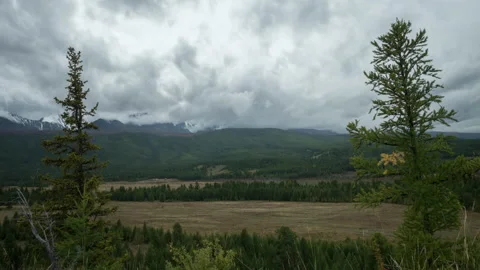 This fly on the lens does not spoil this beautiful shot Stock Footage 163382569