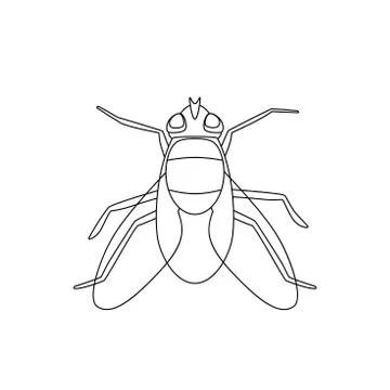 Fly line drawing Stock Illustration