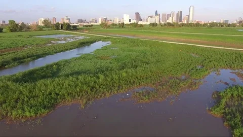 Fly Low and Slow Over Wet Grassland Forward Toward Dallas Texas Skyline Stock Footage 76292853