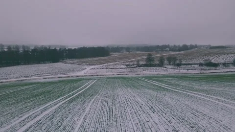 Fly low beneath winter field of grass in the fog. Aerial twilight shot. Stock Footage 170139282