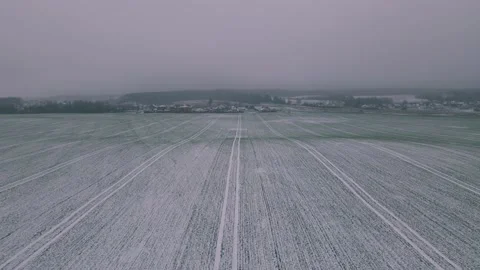 Fly low beneath winter field of grass in the fog. Aerial twilight shot. Stockbeeldmateriaal 170139331