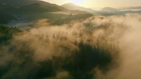 Fly mountains sky fog haze dawn sunrise forest travel beautiful Stock Footage 252124164