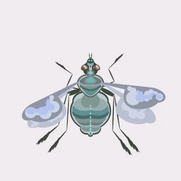Fly is a nasty buzzing insect vector illustration. Stock Illustration