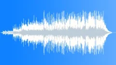 Fly in the OintmentStock Music