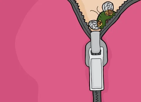 Fly in Open Zipper Stock Illustration
