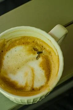 The fly or bug in cup with coffee Stock Photos