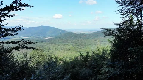 Fly out through opening in trees on hill side, forested valley panorama Stock Footage 157943203