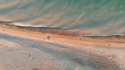Fly over aerial view of the Michigan lake shore line, seagulls, summer Stock Footage 111428678
