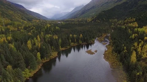 Fly over Alaska forest Stock Footage 84028826