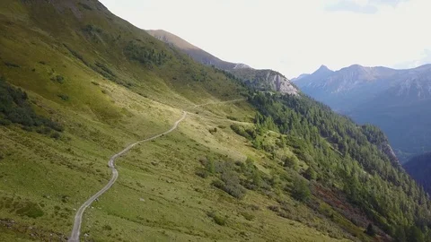 Fly over alpine fields Stock Footage 79831050