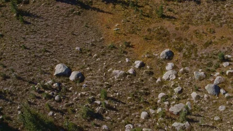 Fly Over Alpine Hiking Path Pan Up to Snowy Mountain Peaks in Summer Stock Footage 82633841