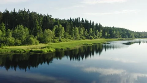 Fly over austrian calm lake with green forest Stock Footage 232462923