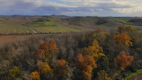Fly over autumn trees Stock Footage 144794403