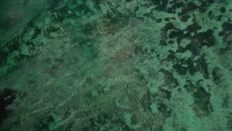 Fly over the beach with stunning ocean views Stock Footage 145806319