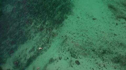 Fly over the beach with stunning ocean views Stock Footage 145806826