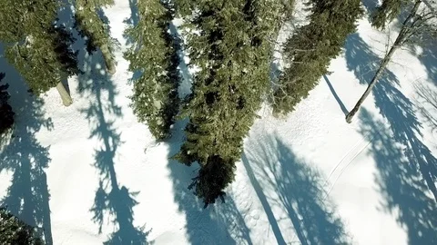 Fly Over Beautiful Snowy Winter Conifer Forest 스톡 동영상 112452353