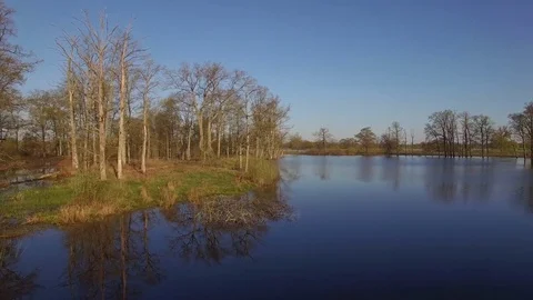Fly over calm river banks or lake in spring high water season panoramic view 4k Stock Footage 77375784