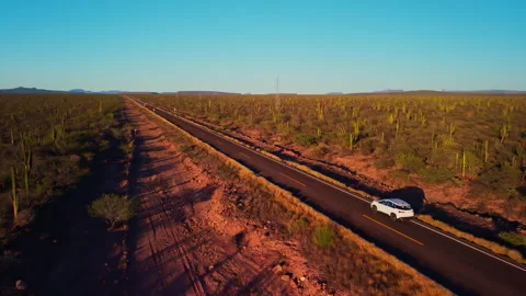 Fly over car in a desertic cactus road Stock Footage 341052161