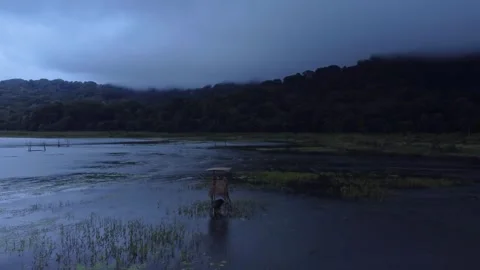Fly Over: Cloudy lake (Bali) Stock Footage 274870331