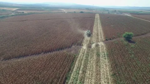 Fly over Corn field harvest combine Stock Footage 79110555