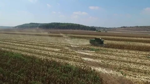 Fly over a Corn field at harvest from the air Stock Footage 79110687