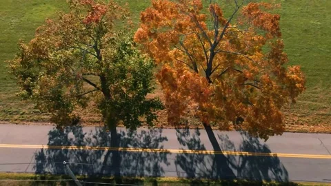 Fly Over Countryside in the Fall (4k) Video stock 168331428