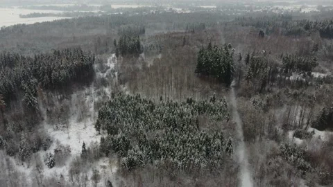 Fly over a dark forrest with a lot of snow in the winter Stock Footage 227012772