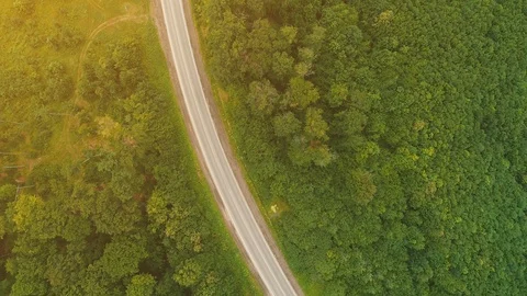 Fly over drone view. One white truck is driving along the freeway amidst a dense Stock Footage 109984575