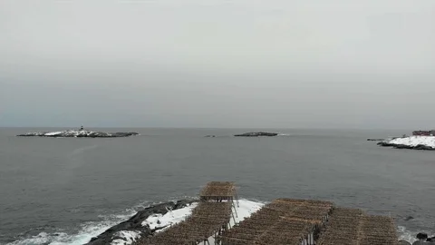 Fly over drying stockfish towards atlantic ocean and lighthouse , Lofoten Stock Footage 128807759