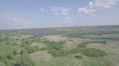 Fly over the estuary and the surrounding wetlands Video stock 63975650