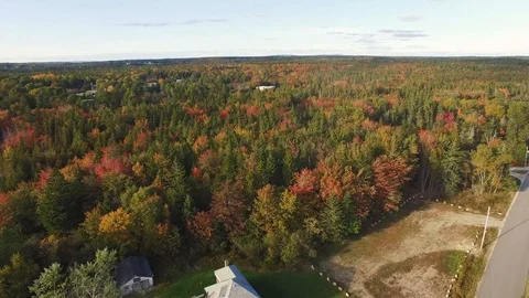 Fly over fall forest close  Stock Footage 96709859