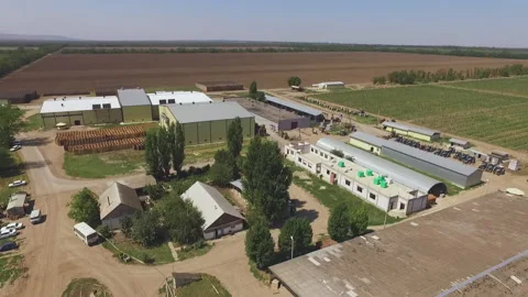 Fly over the farm and fields on a summer day Stock Footage 153027456