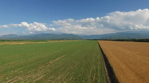 Fly over field Stock Footage 67243138