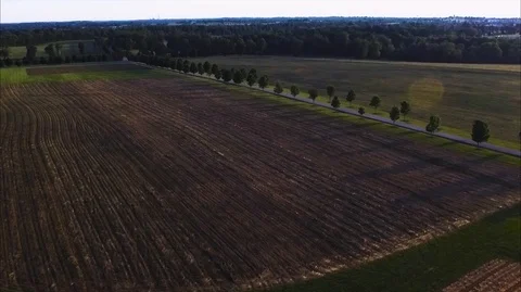 Fly Over Field Stock Footage 91101064