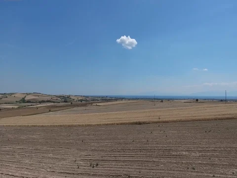 FLY OVER FIELDS IN THE COUNTRYSIDE_A1 Stock Footage 79833910