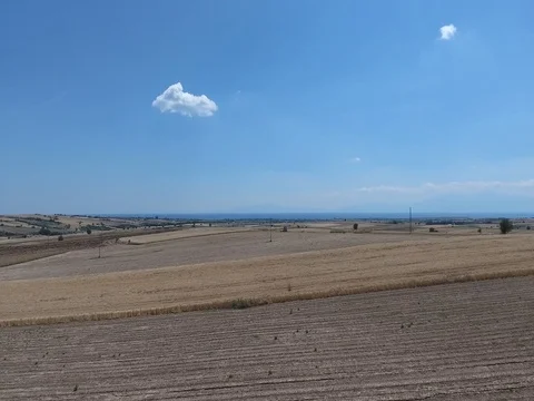 FLY OVER FIELDS IN THE COUNTRYSIDE_A2 Stock Footage 79834742